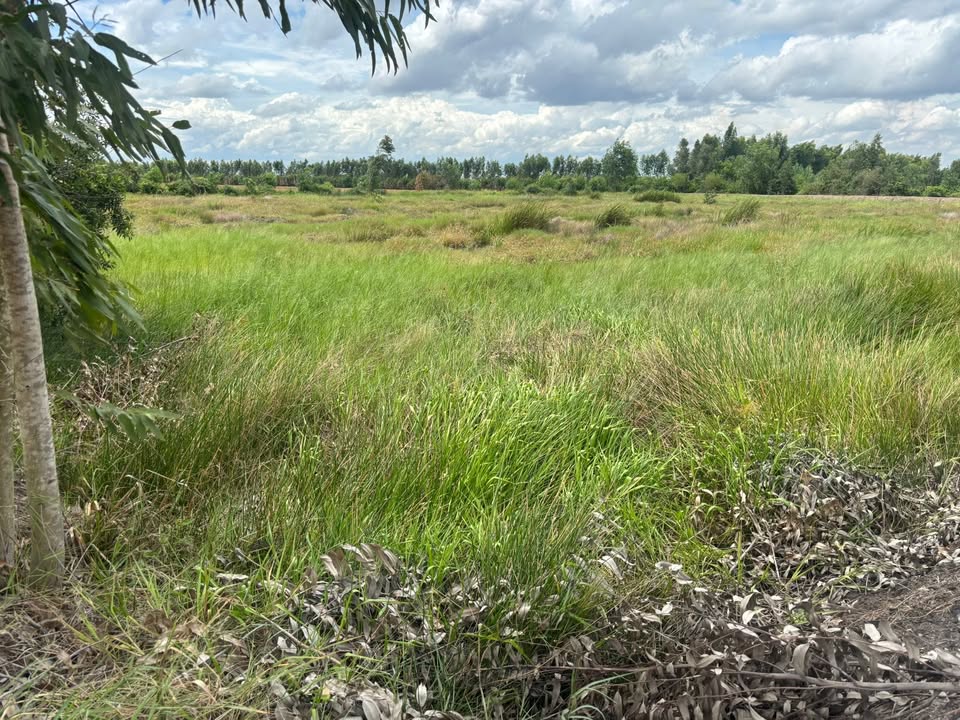 Đất thổ cư 1858m² tại Green City Vingroup, Long An giá 2.5 tỷ - Đầu tư sinh lời ngay!