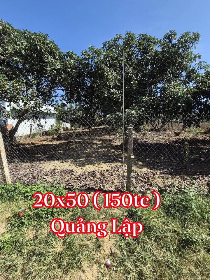 Đất nền 1 sào tại Quảng Lập, Đơn Dương 1071m² giá 160.65 triệu - Khu dân cư sầm uất!