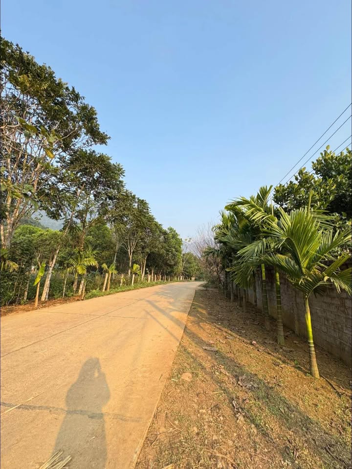 Đất nền Bản Mán, Phong Quang 558m² giá 400 triệu - Đầu tư lý tưởng!