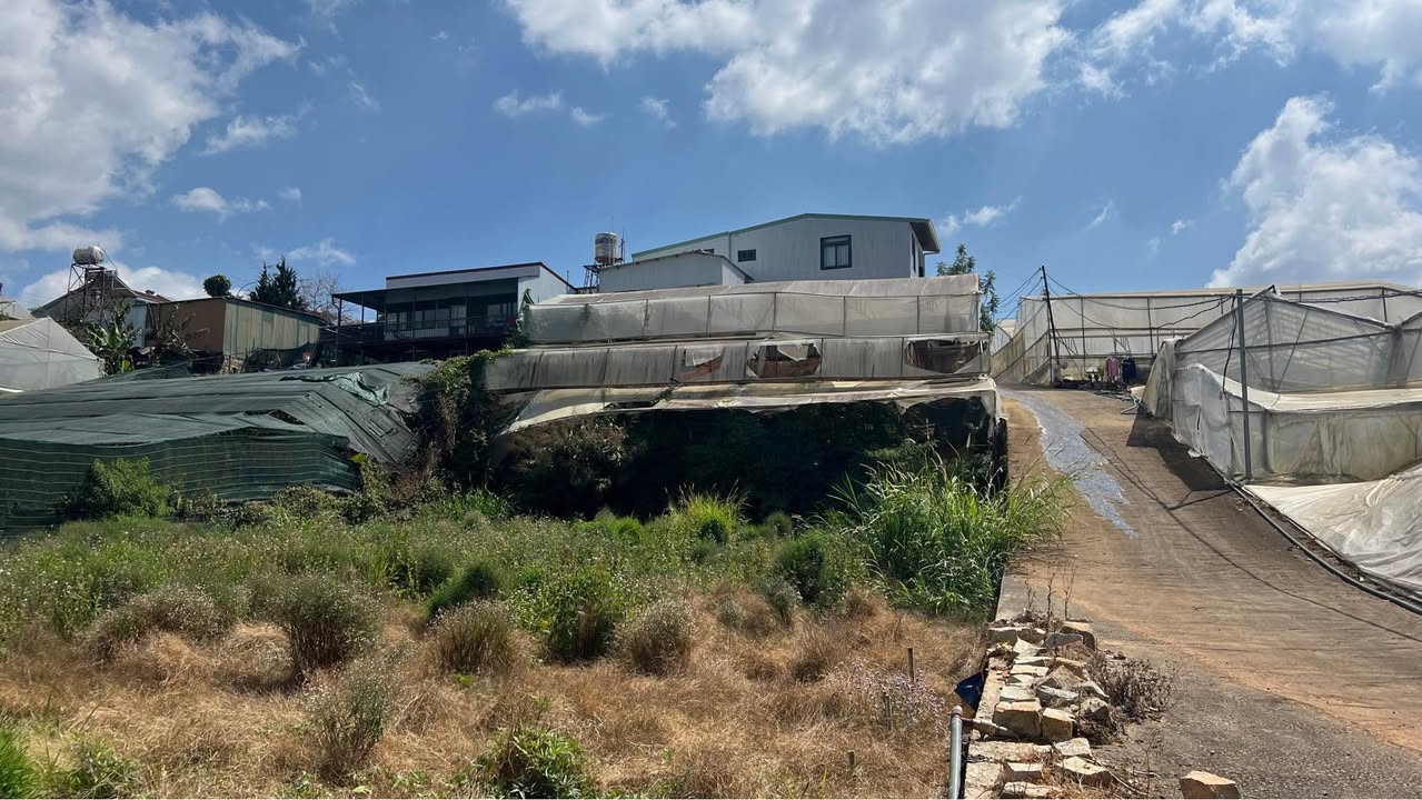 Lô đất 200m² đường Mai Xuân Thưởng Đà Lạt giá 6.9 tỷ - Cơ hội đầu tư hấp dẫn!