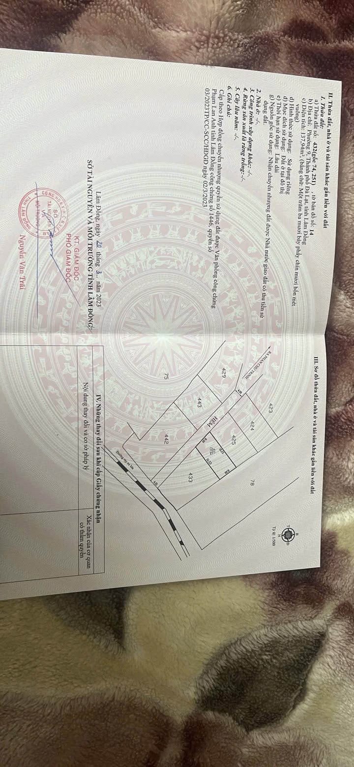 Đất nền 137.94m² hẻm Phan Chu Trinh, Đà Lạt - Sổ hồng riêng, giá 7.9 tỷ!