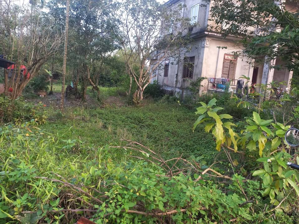 Đất nền Thôn 6 Thủy Phù 176m² giá 6xx triệu - Đường chính khổ 7m đẹp!