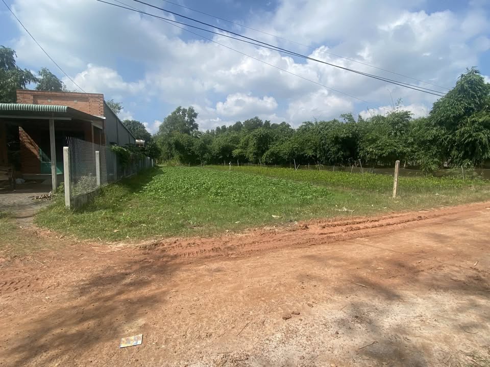 Đất nền Cầu Khởi, Dương Minh Châu, Tây Ninh 527m² giá chỉ từ 500 triệu - Cơ hội đầu tư lý tưởng!