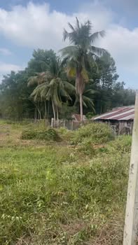 Đất nền Hòa Lợi Bến Cát 2100m² giá 295 triệu - Cơ hội đầu tư tuyệt vời!