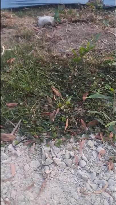 Đất nền Đức Lập Thượng 1000m² giá thỏa thuận - Đầu tư sinh lời ngay!