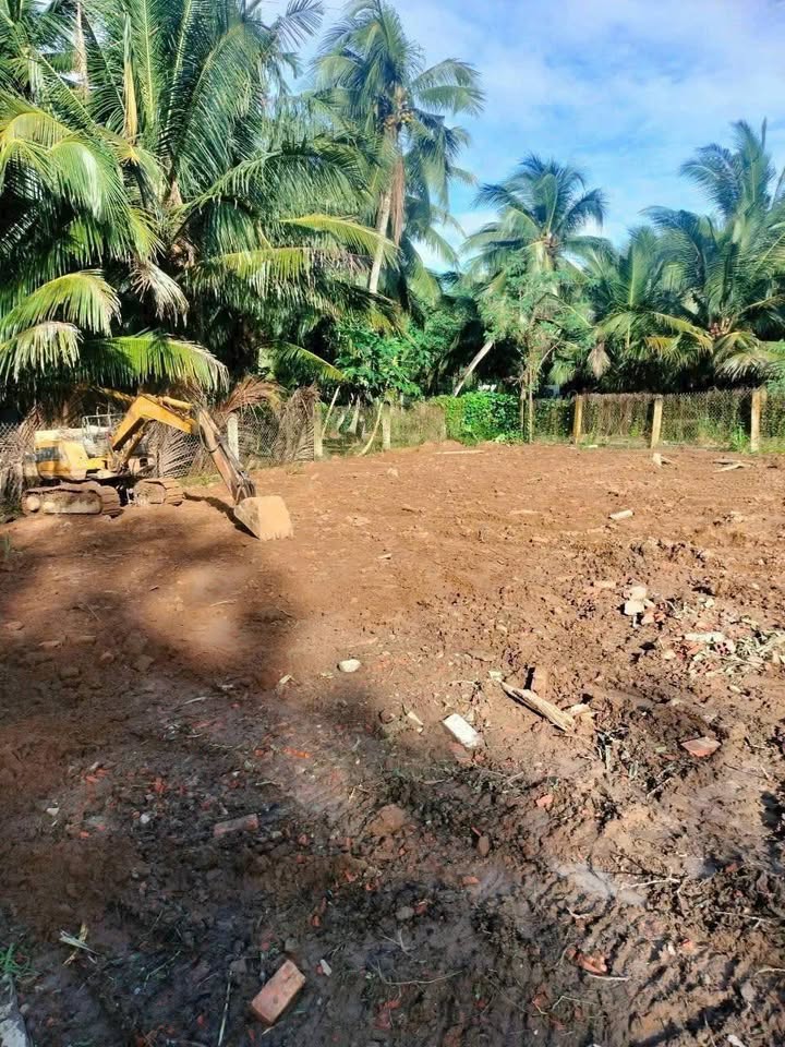 Đất nền 317m² lộ Đan, xã An Định, Mỏ Cày Nam - Giá chỉ 260 triệu!