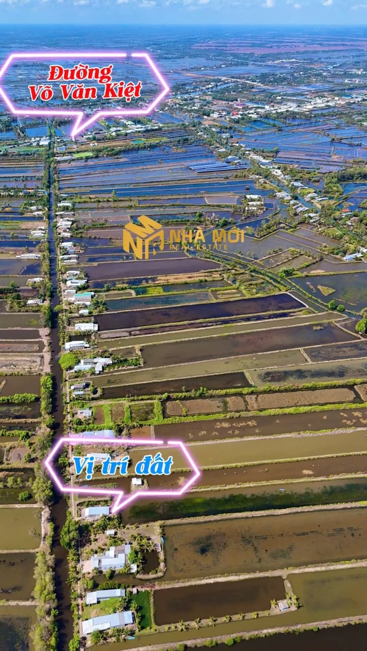 Đất vườn Kênh Giữa Cà Mau 11.000m² giá 1.85 tỷ - Đầu tư sinh lời ngay!