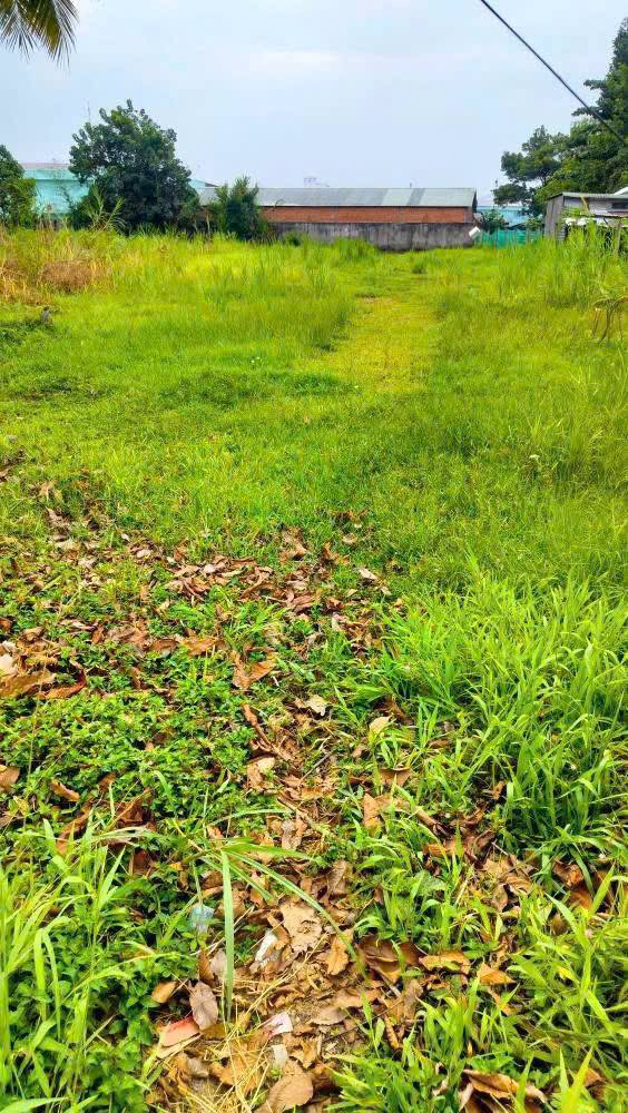 Đất mặt tiền đường Đồng Khởi, Trà Vinh 2660m² giá 11 tỷ - Cơ hội đầu tư hấp dẫn!