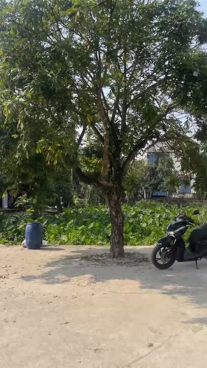 Đất nền Hồng Lạc, Thanh Hà 140m² giá 1 tỷ - Lô góc đẹp, sổ hồng chính chủ!