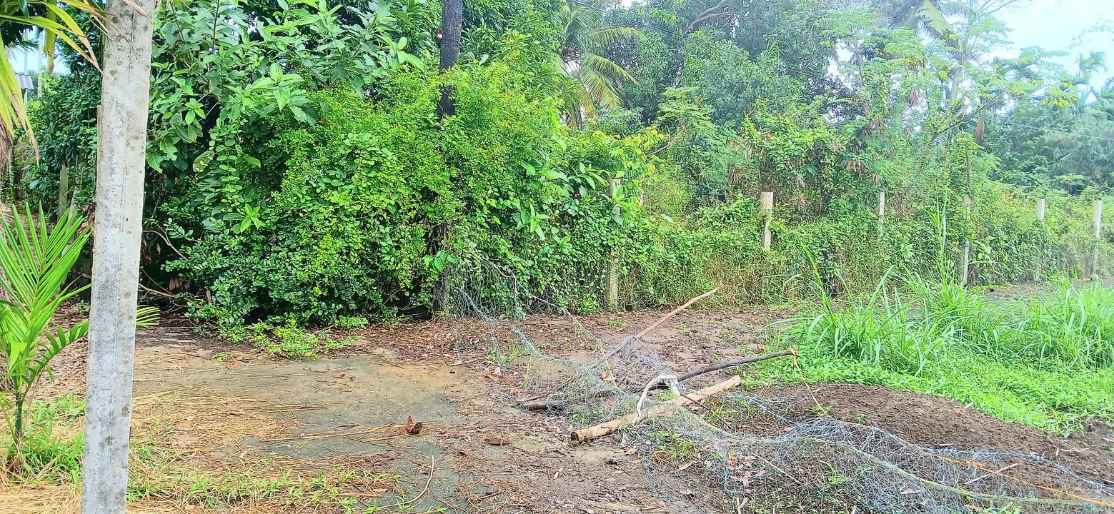 Đất nền Nghĩa Dũng, Quảng Ngãi 355m² giá 620 triệu - Mảnh vườn vuông đẹp, đường ô tô