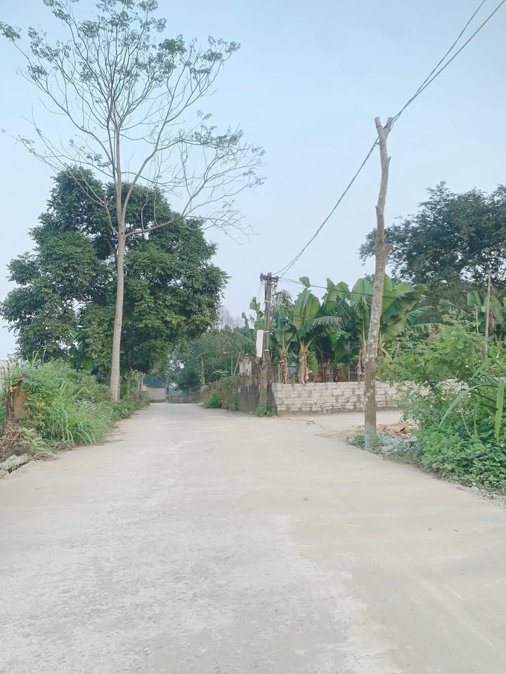 Đất ở xã Thọ Tân, Triệu Sơn 115m² giá 300 triệu - Cơ hội đầu tư tuyệt vời!