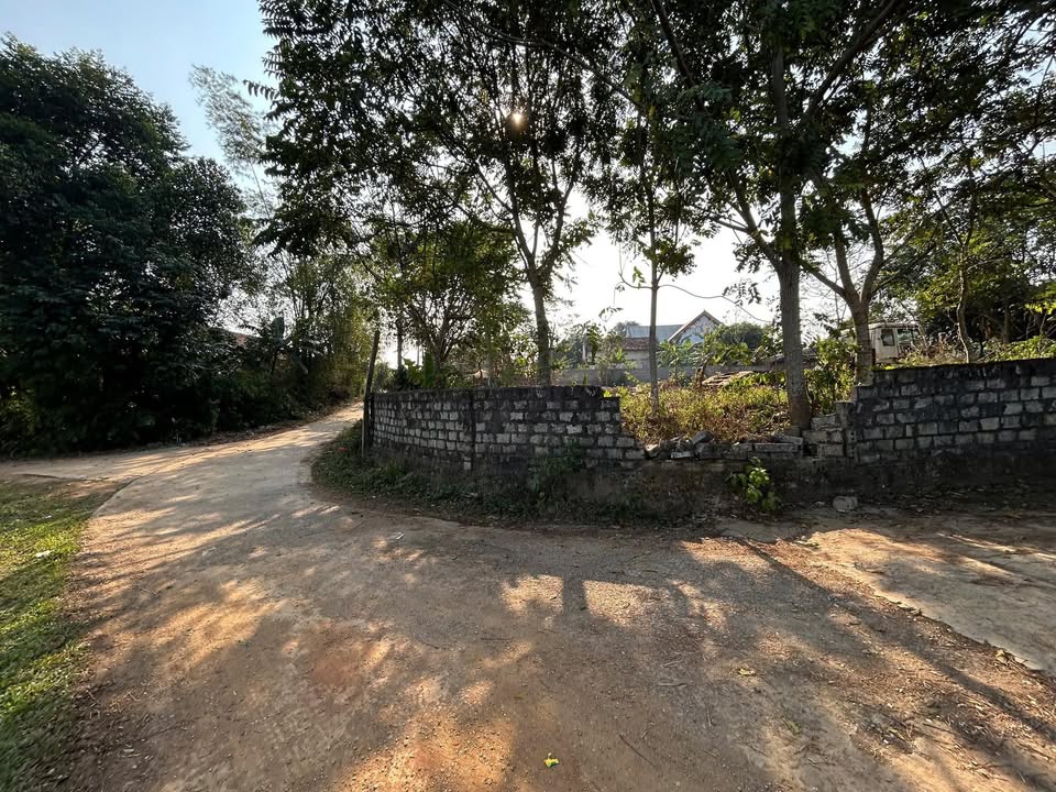 Đất thổ cư Cẩm Tân Thanh Hóa 1000m² - 2 mặt tiền, giá chỉ hơn 1 tỷ!