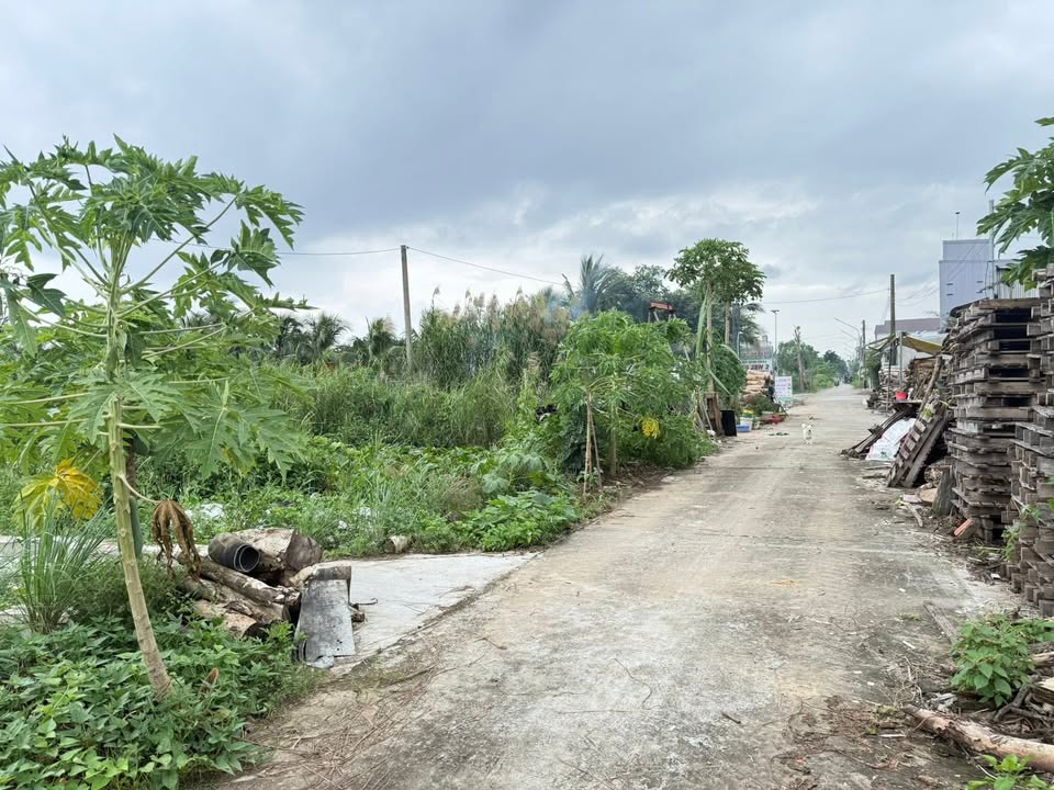 Nhà vườn cho thuê đường Nguyễn Trung Ngạn, phường An Bình, Rạch Giá - Giá chỉ 2.5 triệu/tháng!