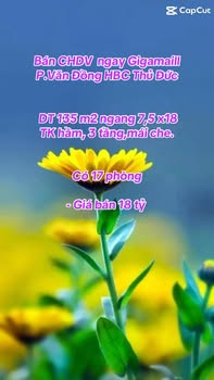 Căn hộ dịch vụ Gigamall Thủ Đức 135m² giá 18 tỷ - Đầu tư sinh lời ngay!