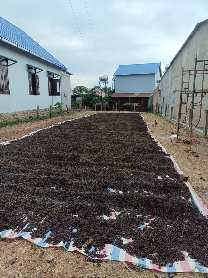 Đất nền Suối Thông A, Đạ Ròn, Đơn Dương 300m² giá 1.4 tỷ - Nhanh tay sở hữu!