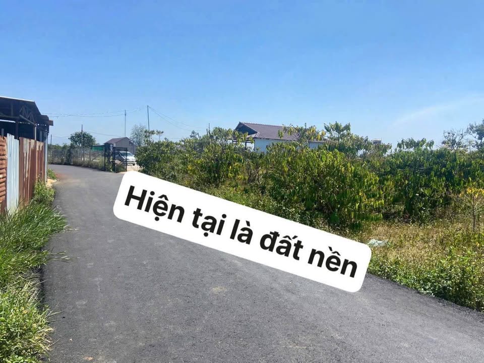 Đất thổ cư 1500m² tại Hẻm nhựa Trần Quang Khải - Giá 3.5 tỷ, cơ hội đầu tư tuyệt vời!