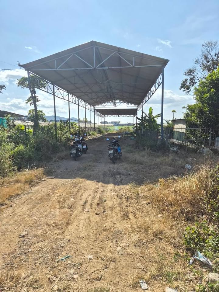 Đất mặt tiền đường nhựa 413, xã Quảng Lập, huyện Đơn Dương, 15000m² chỉ 3 tỷ - Cơ hội đầu tư tuyệt vời!