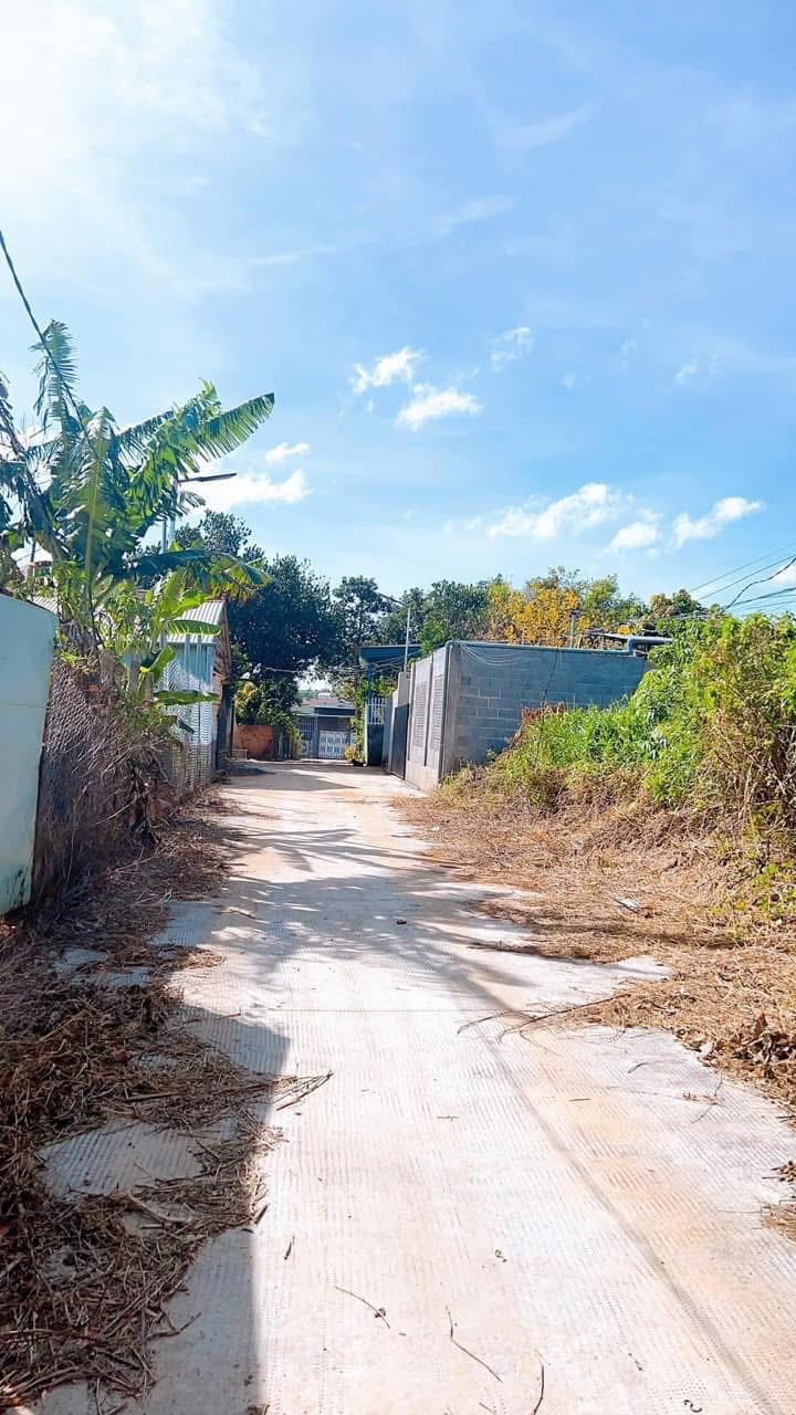 Đất thổ cư 216m² tại Đặng Văn Ngữ, Gia Nghĩa - Giá 1.25 tỷ, Đầu tư sinh lời!