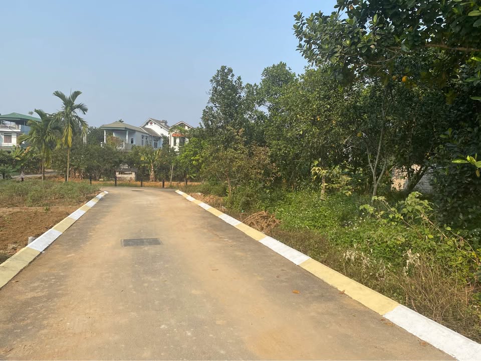 Đất nền Tân Xã 182m² giá chỉ 5.46 tỷ - Cơ hội đầu tư hiếm có!