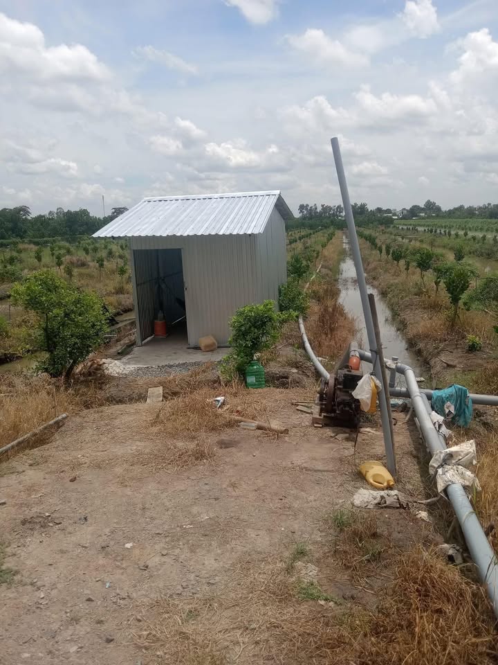 Đất vườn 7500m² tại Hậu Mỹ Trinh, Tiền Giang - Giá chỉ 27 tỷ hấp dẫn!