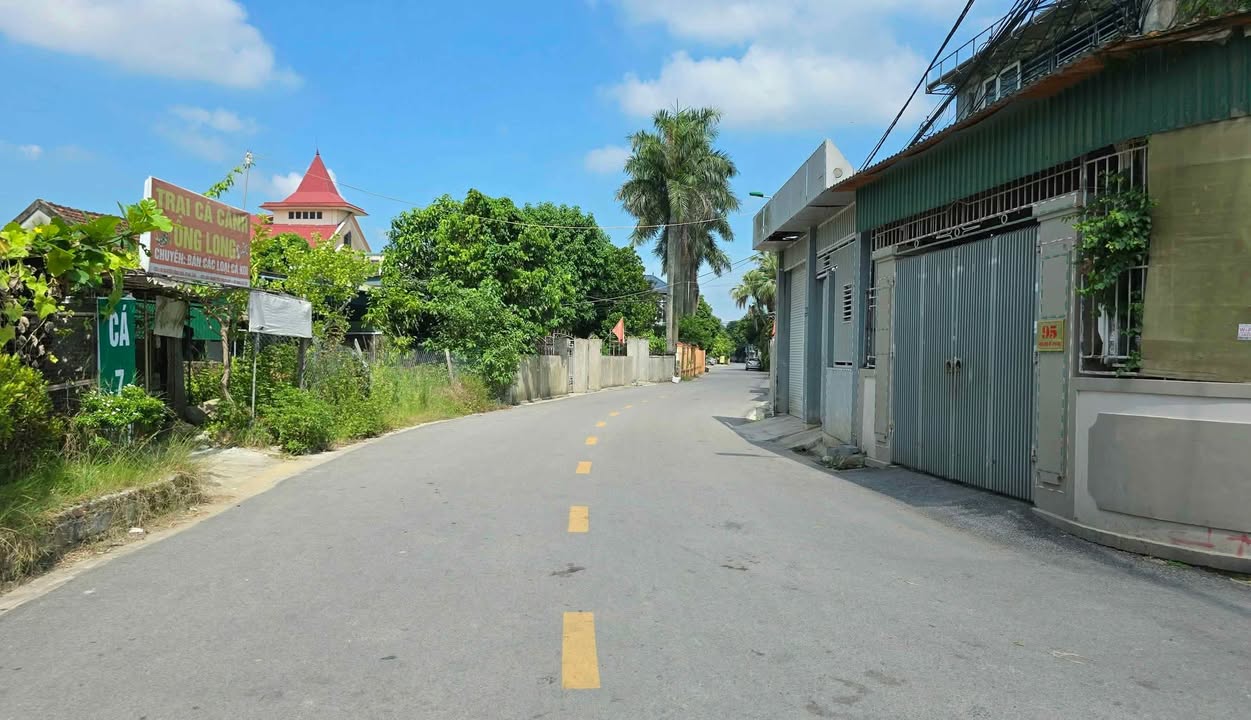 Đất mặt đường Trung Tiết, Thạch Quý 460m² - Vị trí đắc địa kinh doanh tốt!