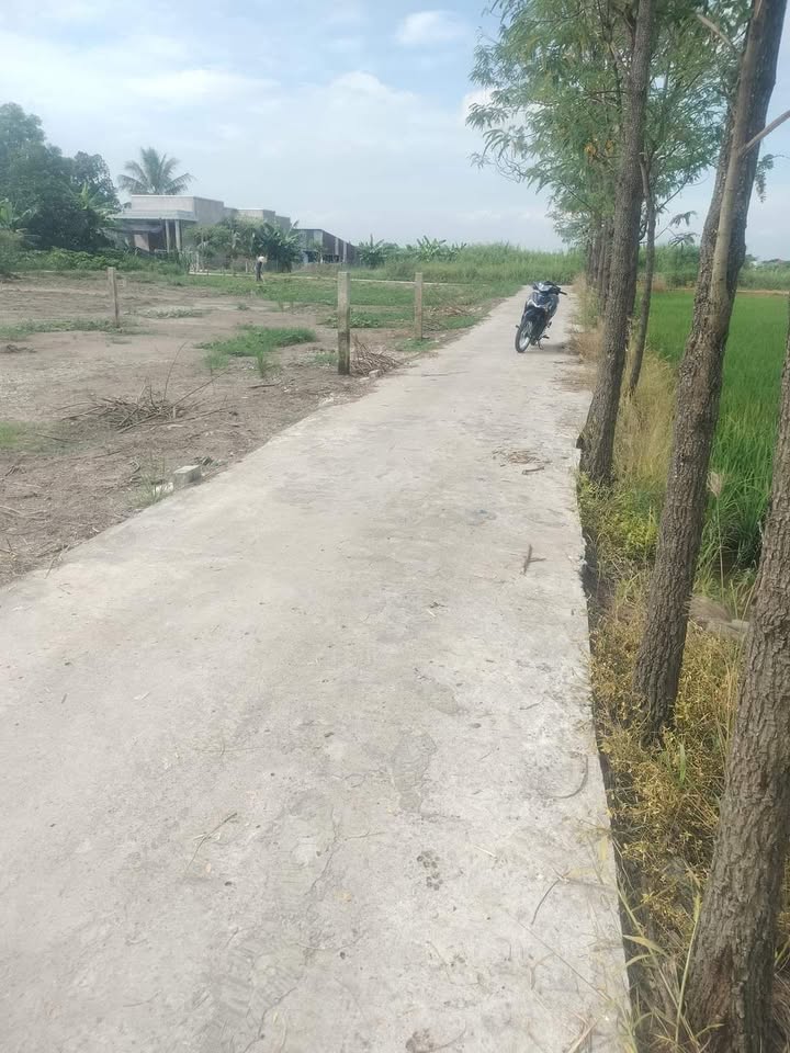 Đất thổ cư 85m² tại xã Tân Trung, Gò Công - Giá 299 triệu, ô tô vào tận nơi!