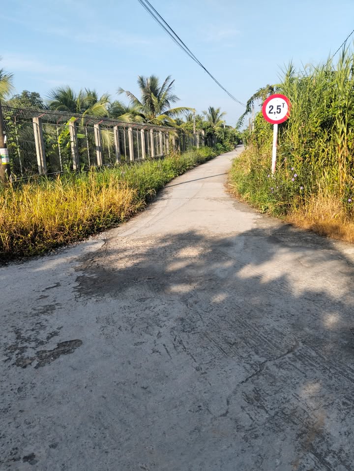 Đất nền 500m² tại Xã Song Phú, Huyện Tam Bình - Giá chỉ 500 triệu, không thương lượng!