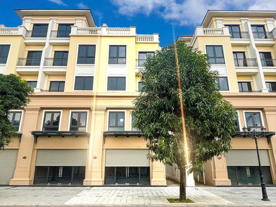 Căn hộ San Hô 160m² giá 35.3 tỷ - Siêu hiếm ngay đối diện chung cư Masteri!