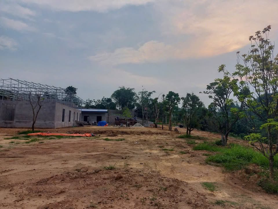 Đất nền 5000m² Phù Ninh - Phú Thọ giá 5 tỷ - Cơ hội đầu tư tuyệt vời!