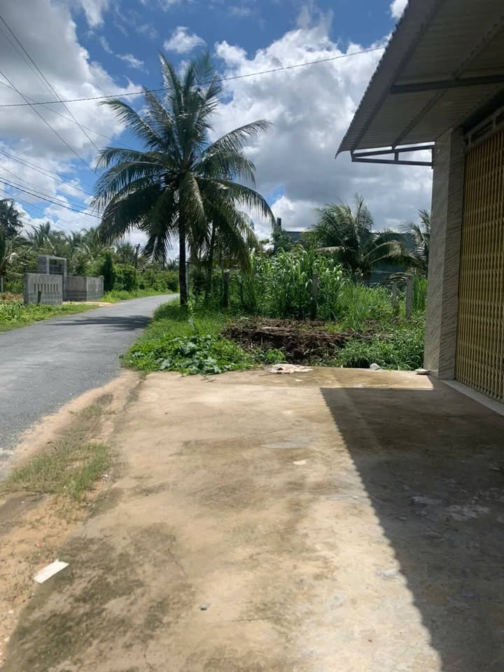 Nhà 1 PN tại Ấp Giồng Kiến, Phú Long, 425m² giá 1.4 tỷ - Cơ hội đầu tư sinh lời!