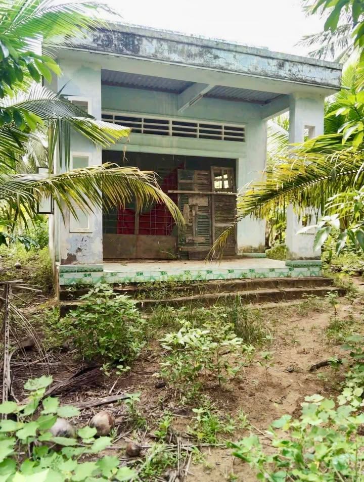 Đất nền 4.7 công tại Đa Phước Hội, Bến Tre chỉ 1.4 tỷ - Pháp lý rõ ràng, tách sổ ngay!