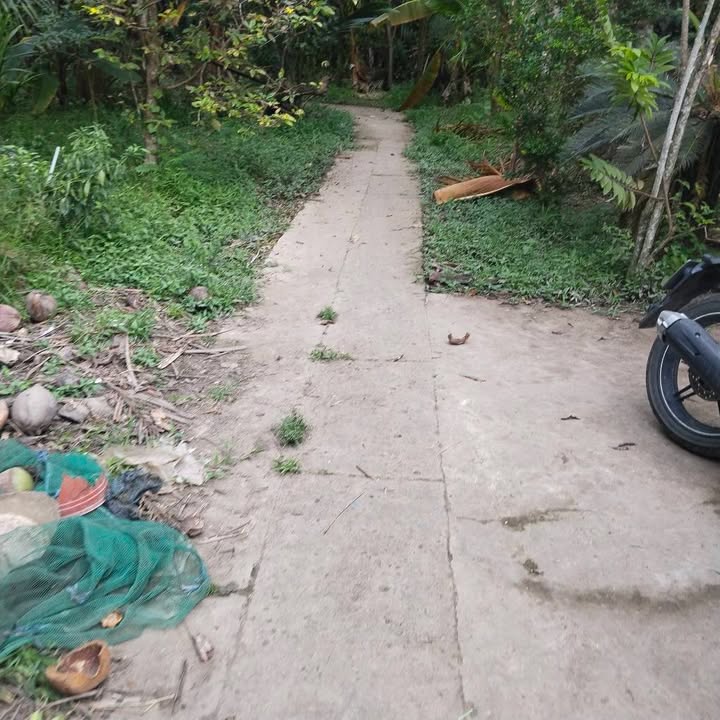 Đất Lương Quới, Giồng Trôm 6600m² giá 17.82 tỷ - Cơ hội đầu tư tuyệt vời!