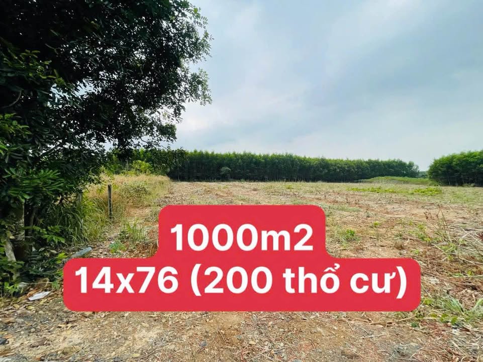Đất thổ cư 1000m² tại Xã Phước Thuận - Giá 2.5 tỷ, Cách Biển Hồ Tràm 20 Phút