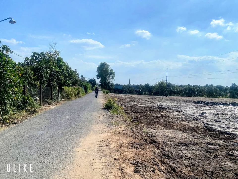 Đất nền xã Mỹ Thuận, Vĩnh Long 10000m² chỉ 800 triệu - Mặt bằng đẹp, giao thông thuận lợi!