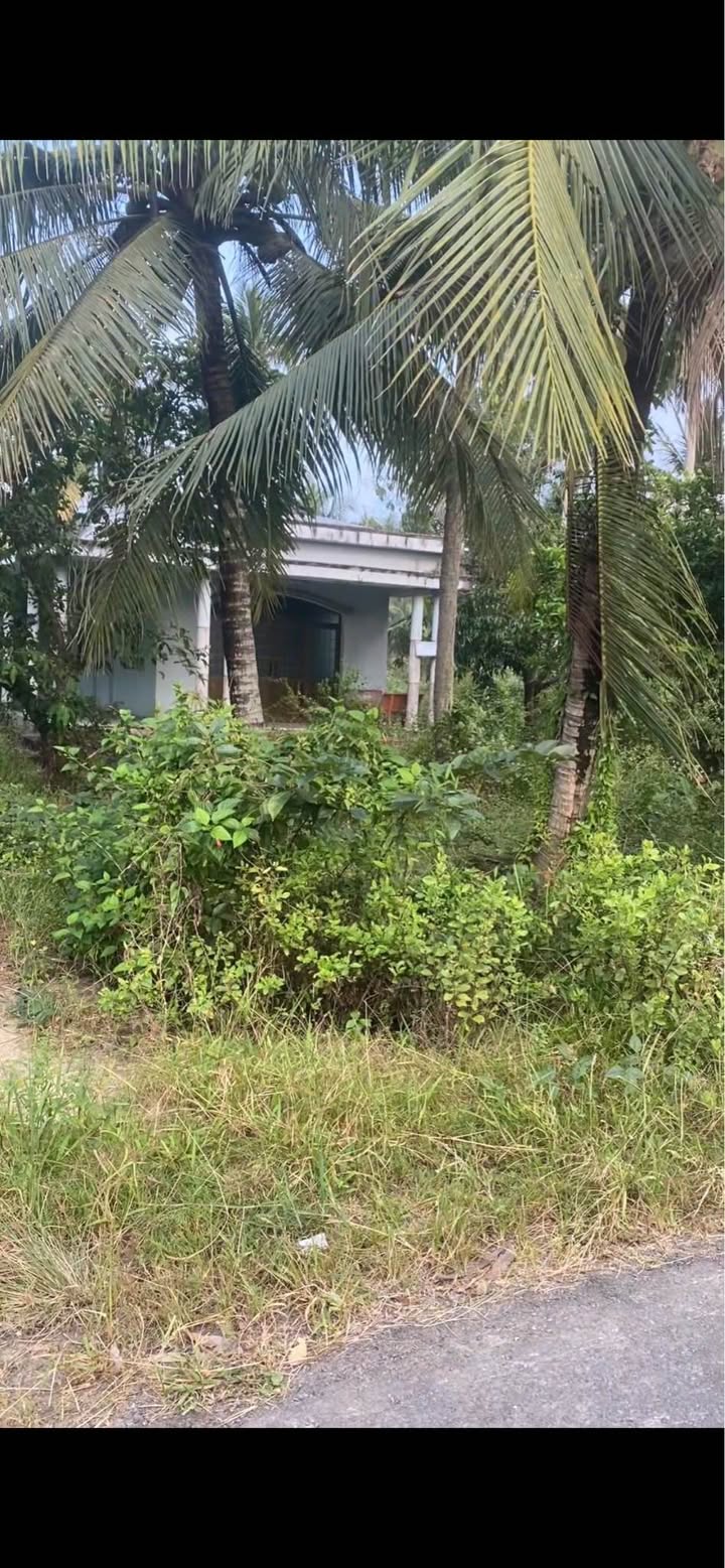 Đất vườn dừa mặt tiền đường Cây Gòn 2000m² giá 1.6 tỷ - Đầu tư sinh lời hấp dẫn!