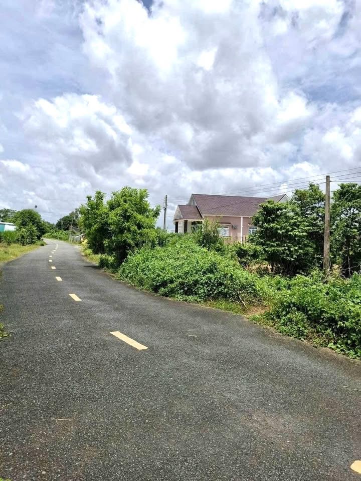 Đất mặt tiền Lê Trọng Nghĩa, Cầu Ngang, 780m² giá 550 triệu - Cơ hội đầu tư hấp dẫn!