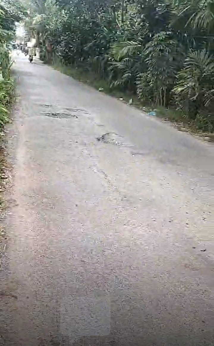 Đất nền Bàn Long, Châu Thành, Tiền Giang 70m² giá 1 tỷ - Cơ hội đầu tư tuyệt vời!