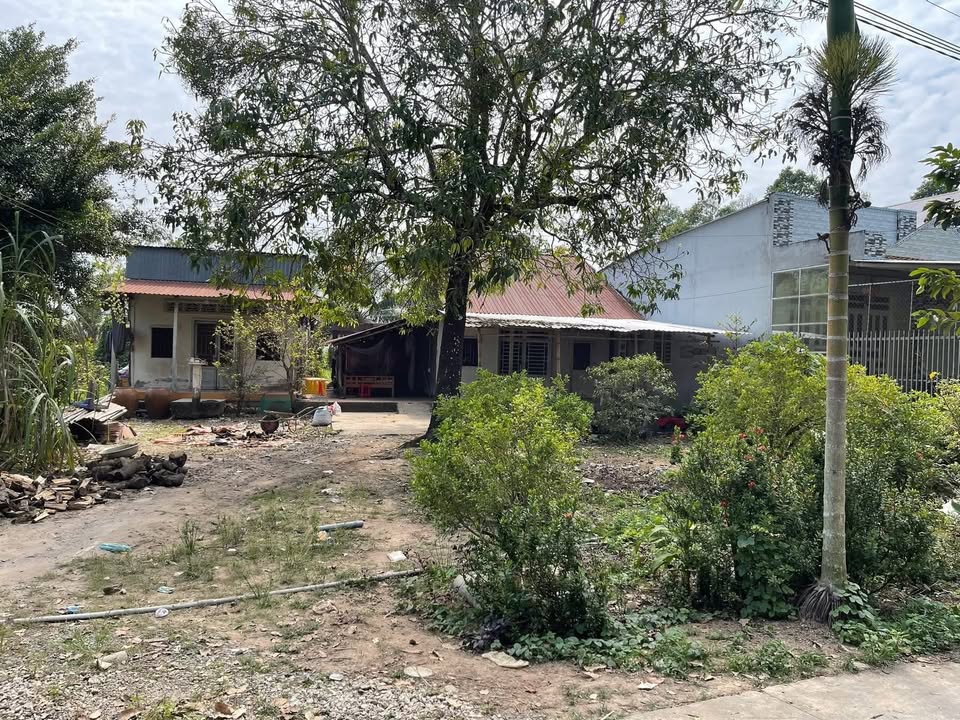 Đất nền mặt tiền Xã Định An 890m² giá 1.1 tỷ - Đầu tư sinh lời tuyệt vời!