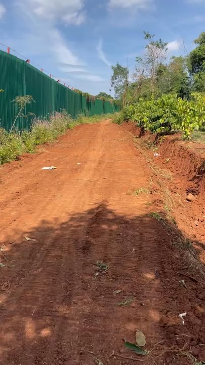 Đất nền 5000m² xã Ea H'đinh, huyện Cư M'gar giá chỉ 1.85 tỷ - Cơ hội đầu tư hiếm có!