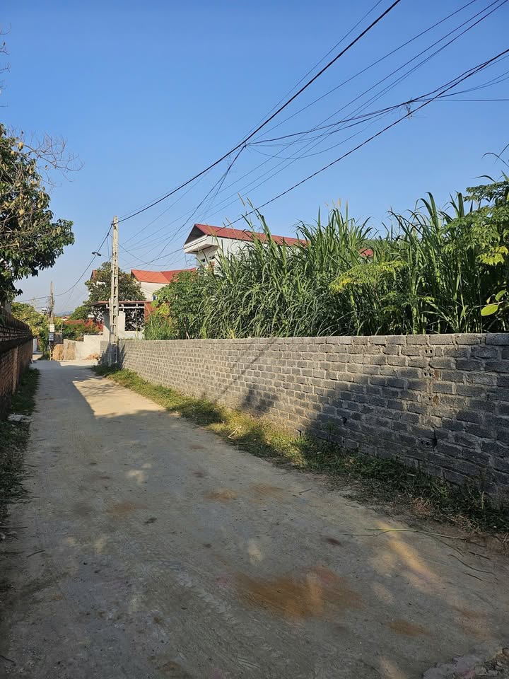 Đất nền Yên Lư Bắc Giang 90m² giá chỉ 1.1 tỷ - Cơ hội đầu tư tuyệt vời!