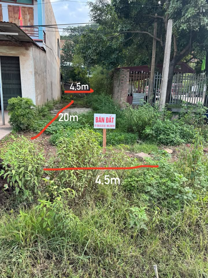 Lô đất mặt tiền QL31 tại Cầu Trại Mít, Lục Nam – 90m² giá 2.05 tỷ – Cơ hội đầu tư tuyệt vời!