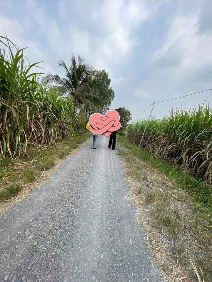 Đất vườn 6140m² tại Ấp 8, Bến Lức, giá 1.8 triệu - Cơ hội đầu tư tuyệt vời!