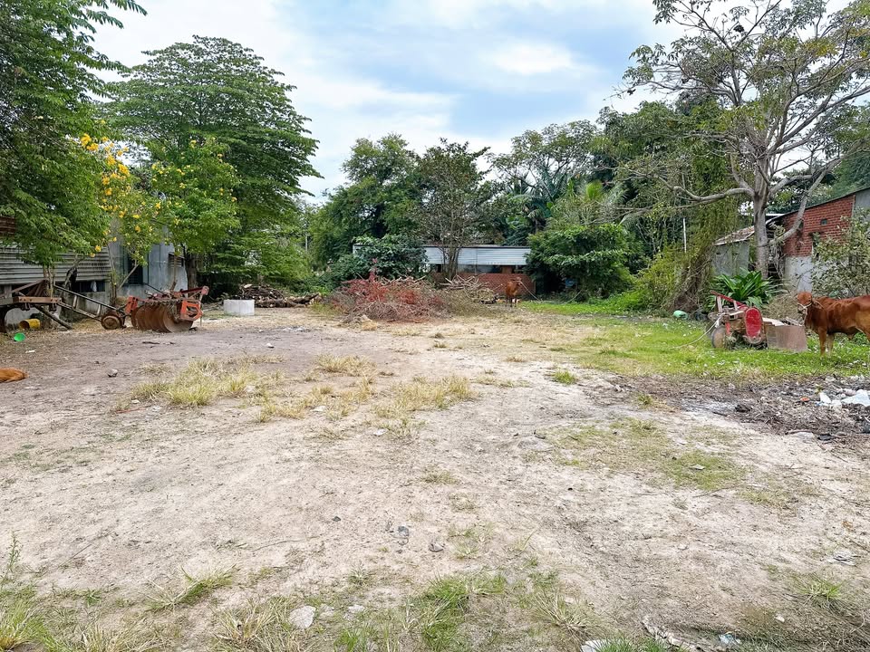 Đất thổ cư KP6, Lê Hồng Sơn, Ninh Hòa 135m² giá chỉ 6xx triệu - Cơ hội đầu tư hấp dẫn!