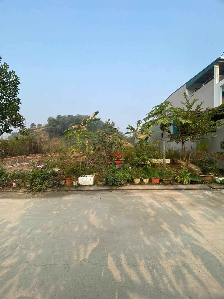 Đất nền chính chủ Yên Ninh 107m² giá chỉ 1.x tỷ - Đầu tư sinh lời ngay!