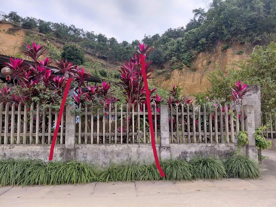 Lô đất TĐC Thuế Yên Bái 216m² giá 2.5 tỷ - Tiềm năng phát triển vượt trội!