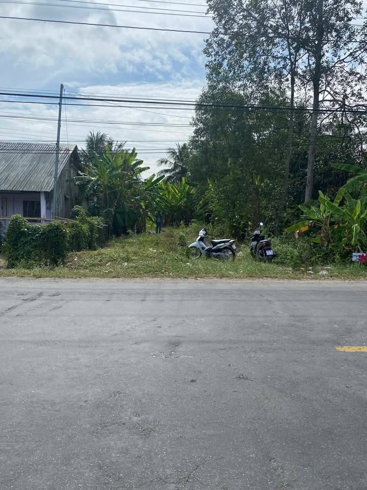 Đất thổ cư Quốc Lộ 80, Huyện Hòn Đất, 720m² - Giá chỉ 1.4 tỷ, chính chủ cần bán!