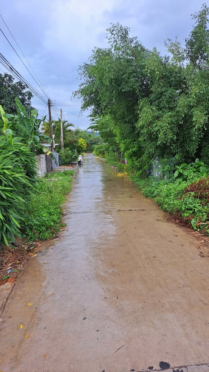 Bán đất thổ cư thôn 5 Ninh Sơn, xã Bắc Ninh Hòa 101.8m² giá 299 triệu - Đường ô tô vào tận nơi!