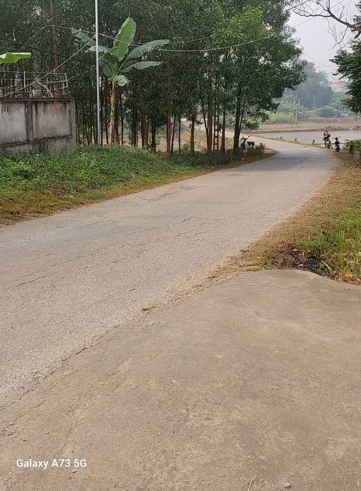 Đất thổ cư tại tổ 4, Phường An Tường, 247m² giá chỉ 4 tỷ - Cơ hội đầu tư hấp dẫn!