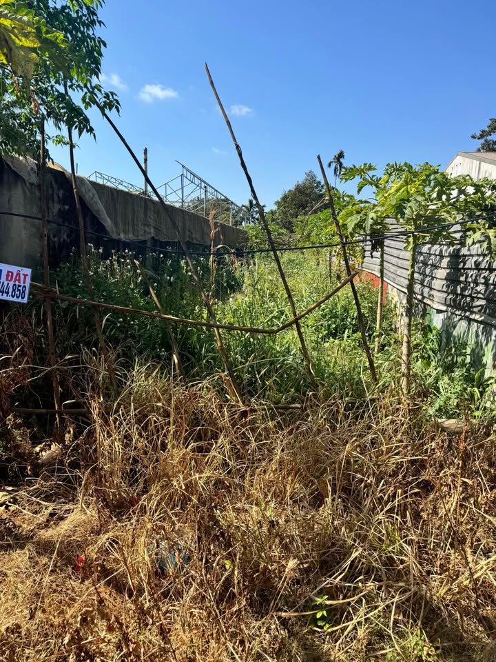 Đất thổ cư Hẻm 138 Nguyễn Lương Bằng, 165m² giá 2.33 tỷ - Cơ hội đầu tư tuyệt vời!