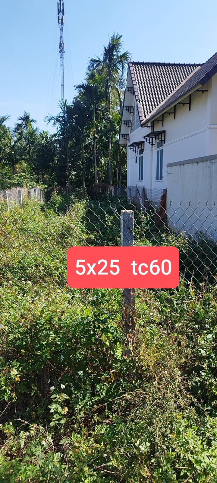 Đất thổ cư 125m² tại thôn 7, xã Hòa Thắng - Giá chỉ 1.2 tỷ!